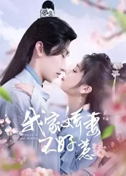 电视剧《我家娇妻不好惹》剧情海报