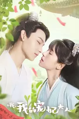 电视剧《哦，我的宠妃大人2023》剧情介绍