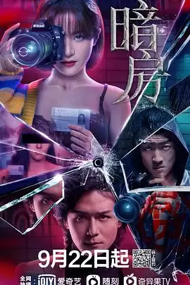 电视剧《暗房》剧情介绍