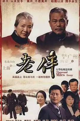 电视剧《老伴》剧情介绍