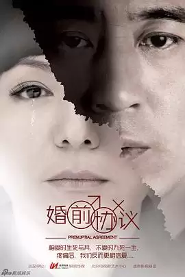 电视剧《婚前协议》剧情介绍