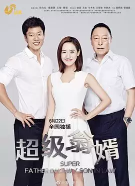 电视剧《超级翁婿》剧情介绍