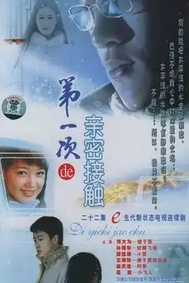 电视剧《第一次的亲密接触2004》剧情介绍