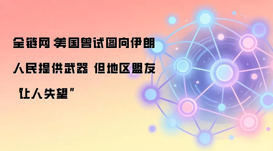 美国曾试图向伊朗人民提供武器 但地区盟友“让人失望”