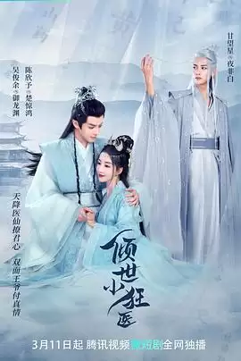 电视剧《倾世小狂医》剧情介绍
