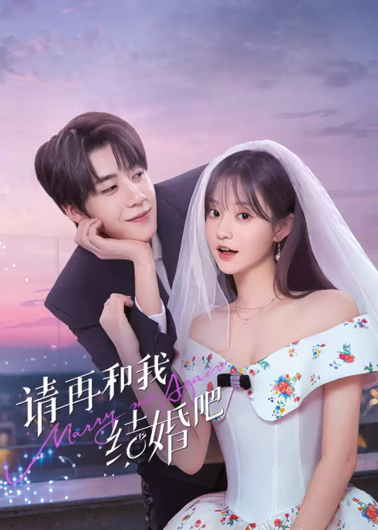 电视剧《请再和我结婚吧》剧情介绍