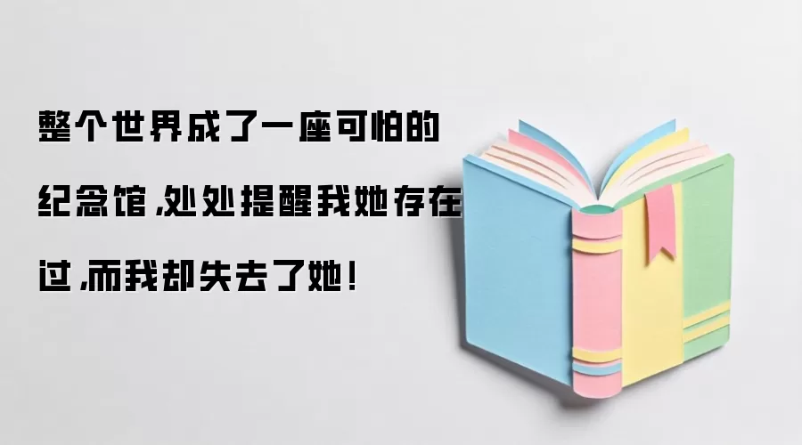 整个世界成了一座可怕的纪念馆，处处提醒我她存在过，而我却失去了她！