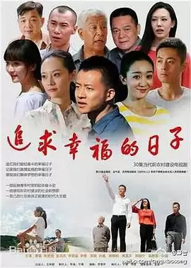 电视剧《追求幸福的日子》剧情介绍