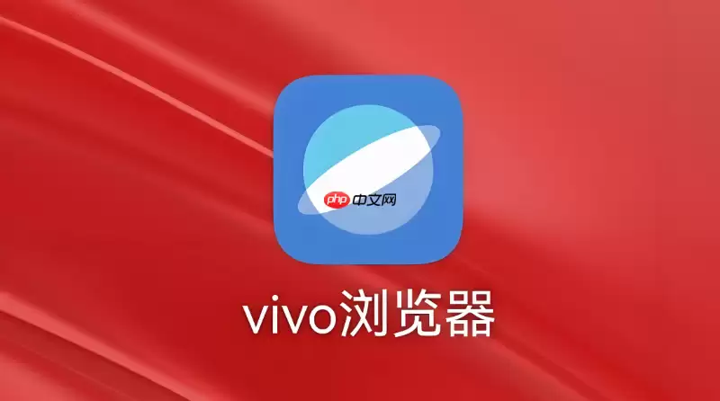 vivo浏览器如何查看网页加载性能的具体耗时数据？