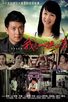 电视剧《我是一棵小草》剧情介绍