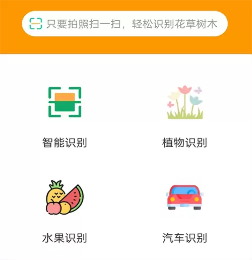 猫品种识别App分享 精准识别常见猫咪品种的实用工具