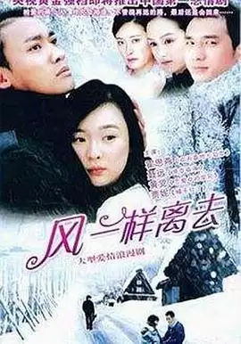 电视剧《像风一样离去》剧情介绍