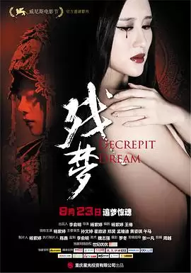 电影《残梦》剧情介绍