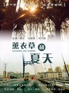 电视剧《薰衣草和夏天》剧情介绍