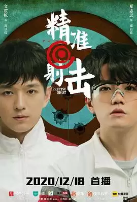 电视剧《精准射击》剧情介绍