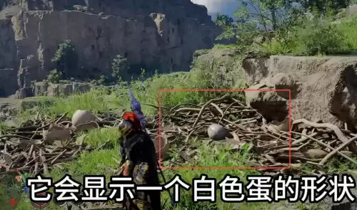 红色沙漠嘟嘟鸟蛋四个分布点位一览