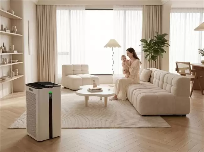除甲醛空气净化器选购参数全解2026：CADR、CCM、
