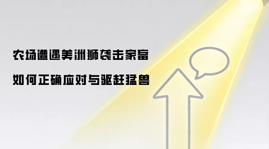 农场遭遇美洲狮袭击家畜 如何正确应对与驱赶猛兽