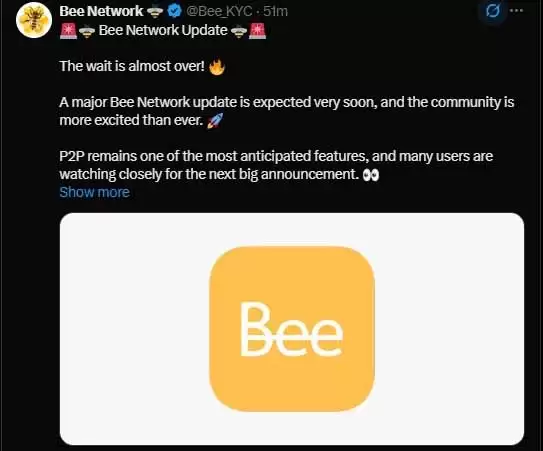 2026年Bee Network 生态更新:P2P功能进展、代币估值与上线解析