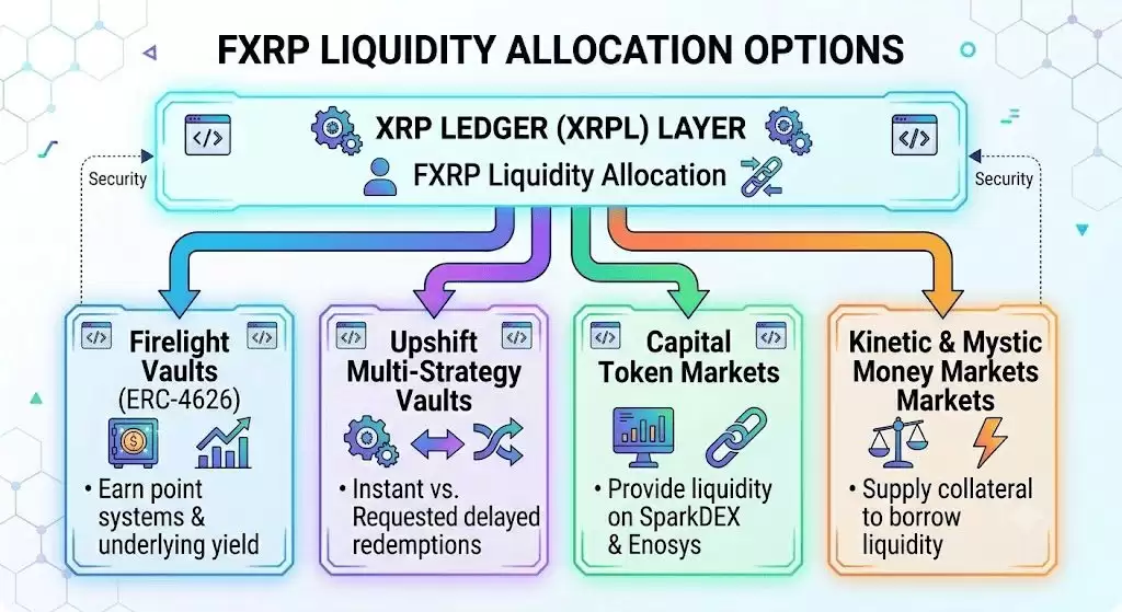 Flare (FLR)币是什么？机制、生态与 XRPFi 应用指南