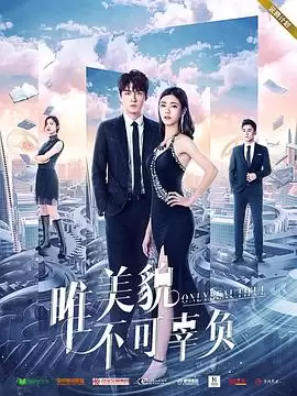 电视剧《唯美貌不可辜负第一季》剧情介绍
