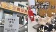 给猫狗看不起病的年轻人，把乡村兽医捧成了500万粉顶流