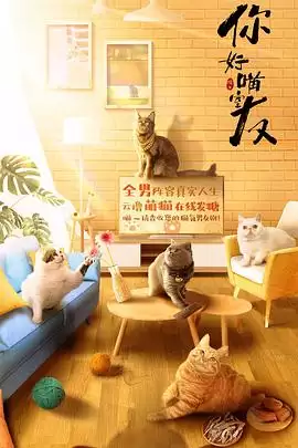 电视剧《你好喵室友》剧情介绍