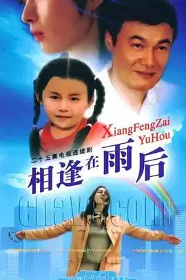 电视剧《相逢在雨后》
