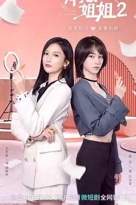 电视剧《拜托了！姐姐2》剧情介绍
