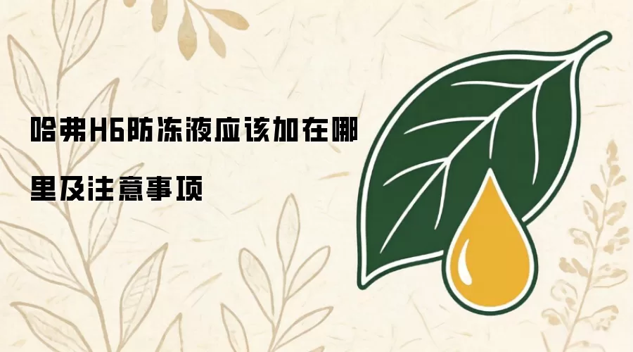 哈弗H6防冻液应该加在哪里及注意事项