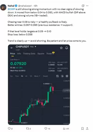CHIP币价格预测:目标价0.10美元已达,现在买入是否为时已晚?