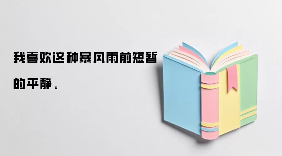 我喜欢这种暴风雨前短暂的平静。
