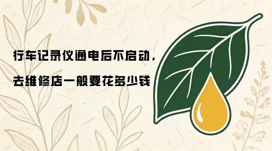 行车记录仪通电后不启动，去维修店一般要花多少钱