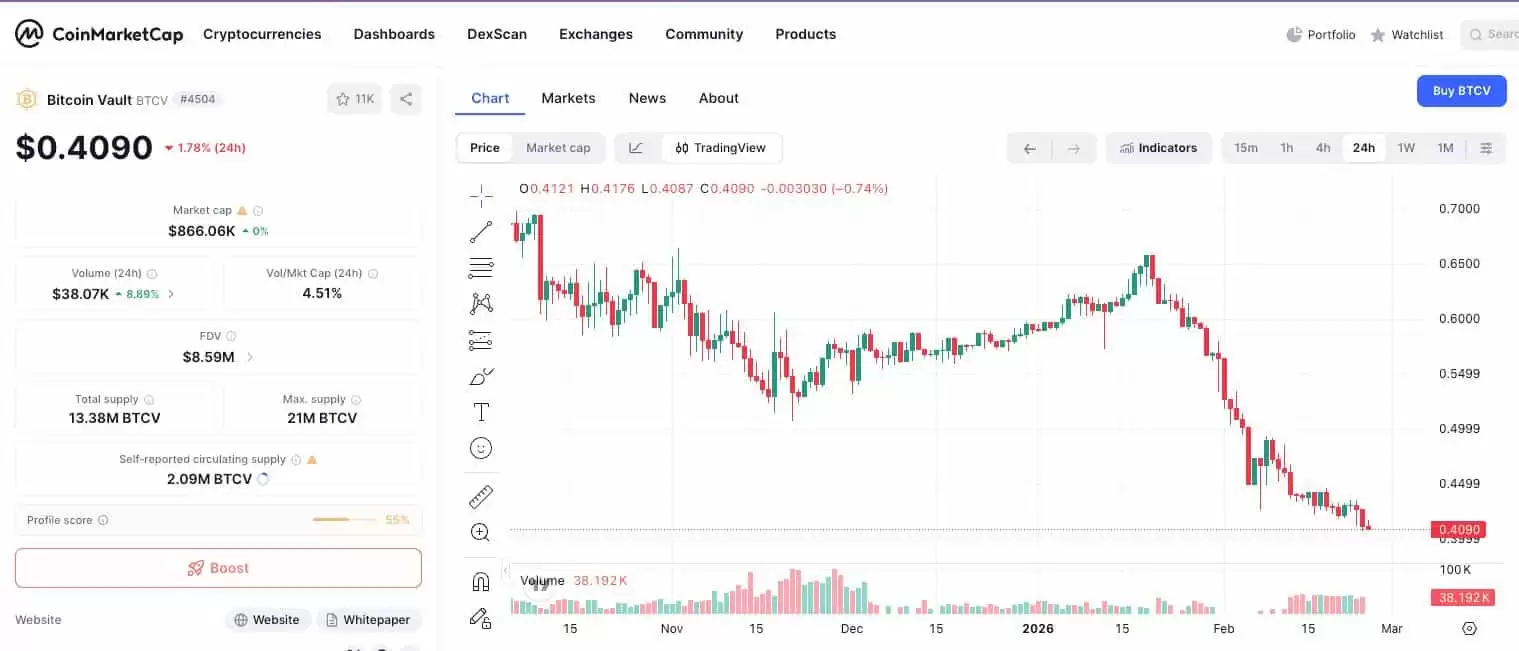 什么是比特币金库 (BTCV)？BTCV代币经济学、与比特币关系以及风险考量