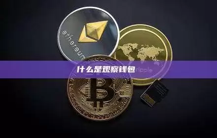 观察钱&包（Watch-only）是什么？新手完整指南