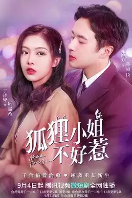电视剧《狐狸小姐不好惹》剧情介绍