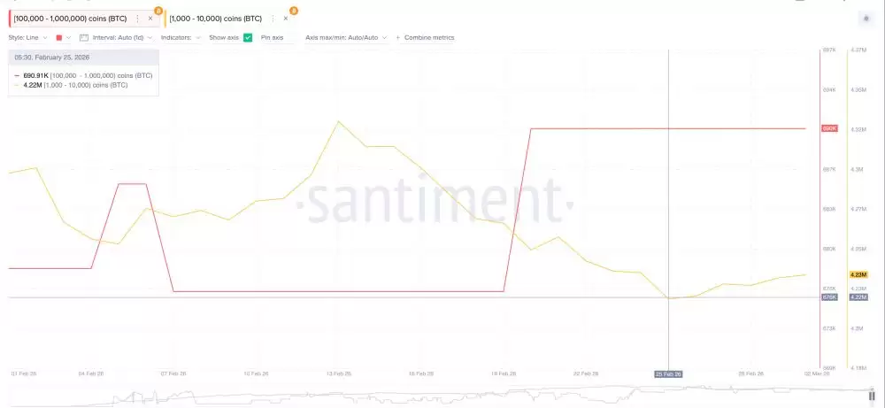 2026年3月比特币(BTC)价格走势展望:宏观阴云下的链上信号与交易主线解析