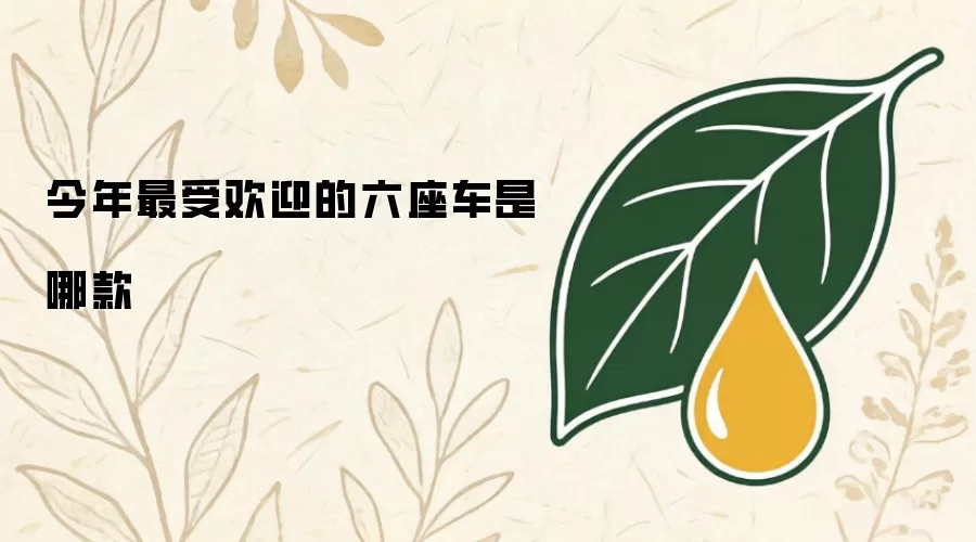今年最受欢迎的六座车是哪款