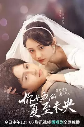 电视剧《你是我的夏至未央》剧情介绍