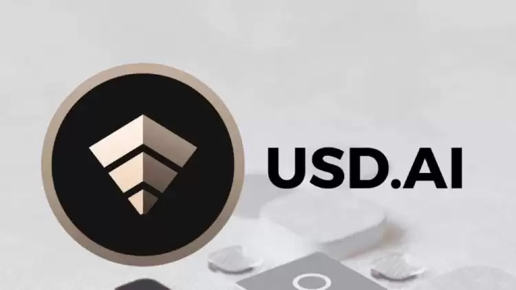 USD.AI(CHIP)币介绍