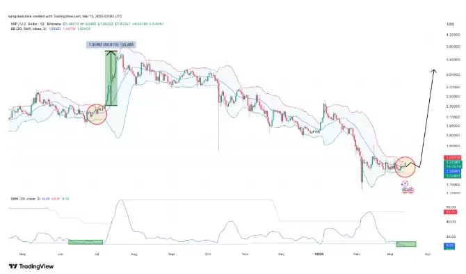 瑞波币（XRP）上涨至2.55美元,原因分析