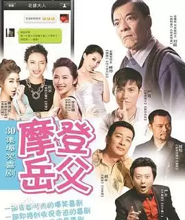 电视剧《摩登岳父》剧情介绍