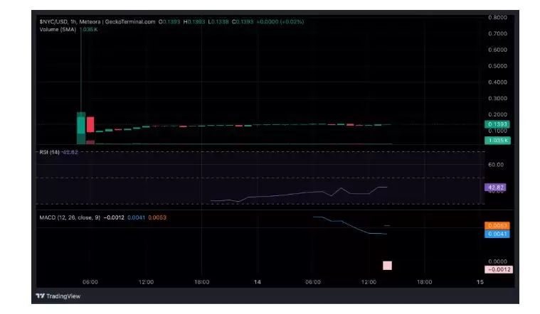 NYC Token是什么？NYC代币价格表现概览