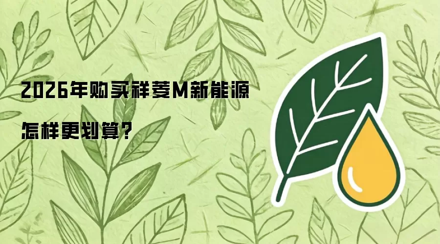 2026年购买祥菱M新能源怎样更划算？
