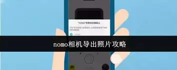nomo相机如何导出照片
