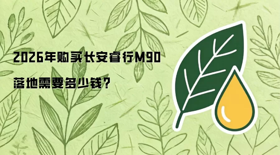 2026年购买长安睿行M90落地需要多少钱？