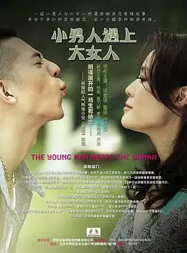 电视剧《小男人遇上大女人》剧情介绍