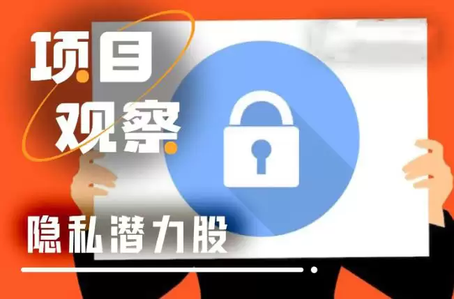 2026获得市场青睐的隐私项目