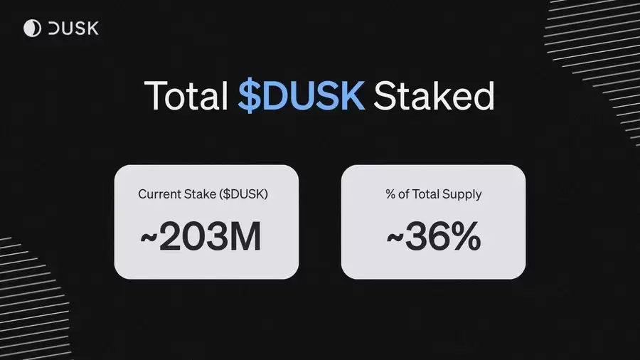 2026获得市场青睐的隐私项目