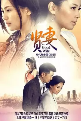 电视剧《贤妻2013》剧情介绍